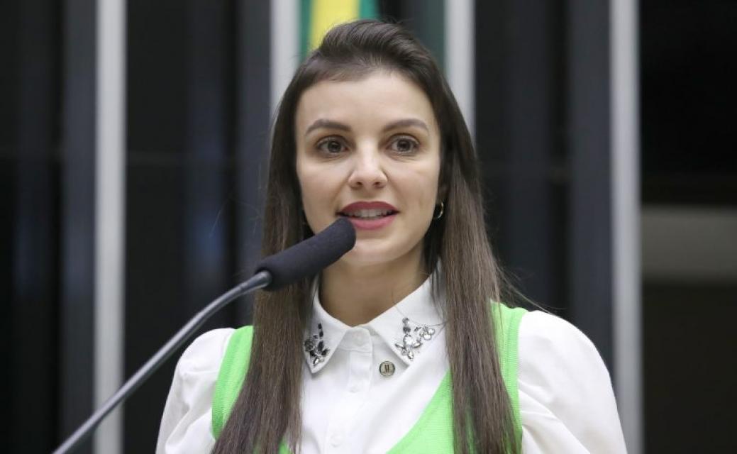 Reprodução: Agência Câmara de Notícias