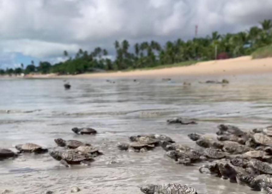 Foto: Reprodução/ Instagram 