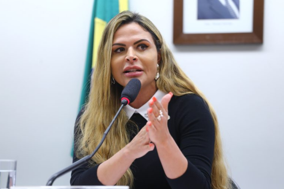Reprodução: Agência Câmara de Notícias