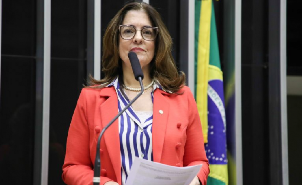 Reprodução: Agência Câmara de Notícias